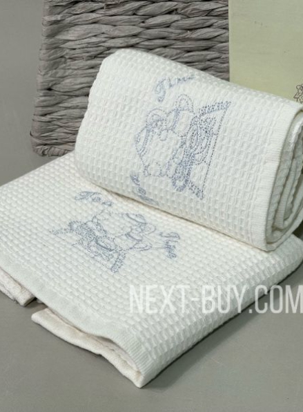 Diamond набор кухонных полотенец с вышивкой Dally white 40х60см 2шт.