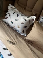 Maison D'or Pulume Volante beige постельное белье 200x220см сатин с вышивкой евро — изображение 6